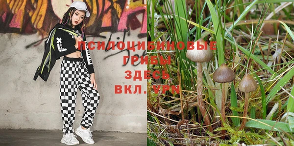 кокаин премиум Абдулино